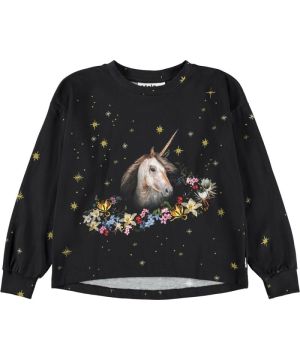  4984 Licorne as
