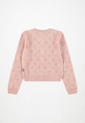 Petal Blush 805